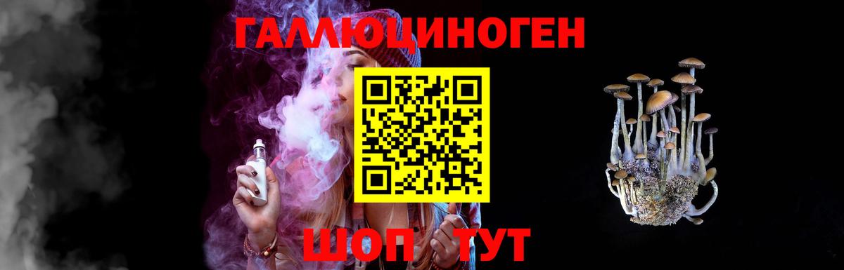 Псилоцибиновые грибы мицелий Георгиевск